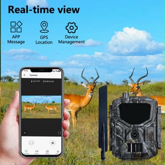 Trail Camera