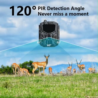 Trail Camera