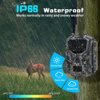 Trail Camera