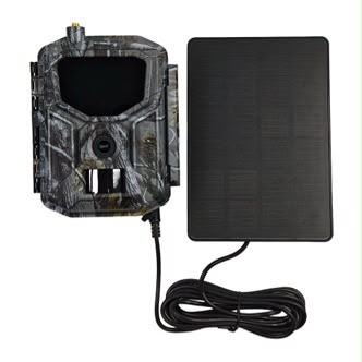 Trail Camera