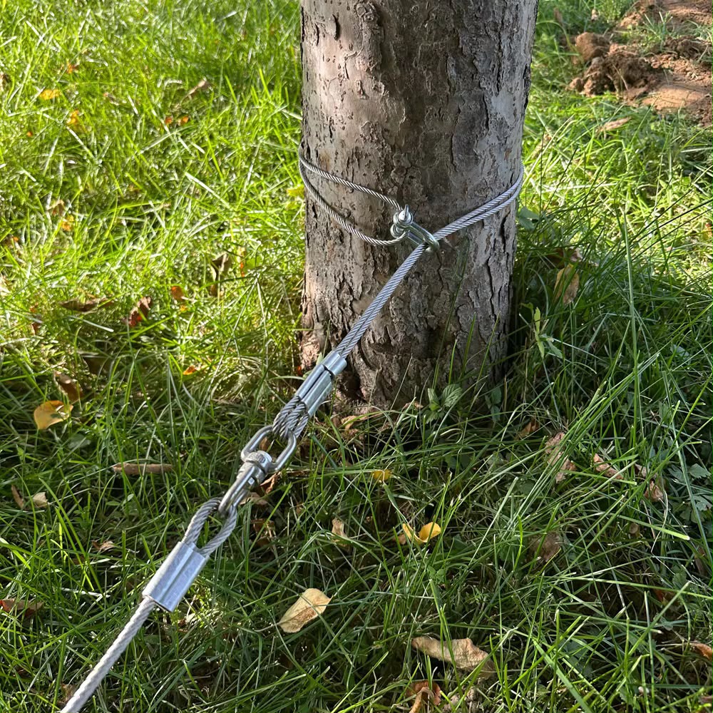 Wild Boar Trap