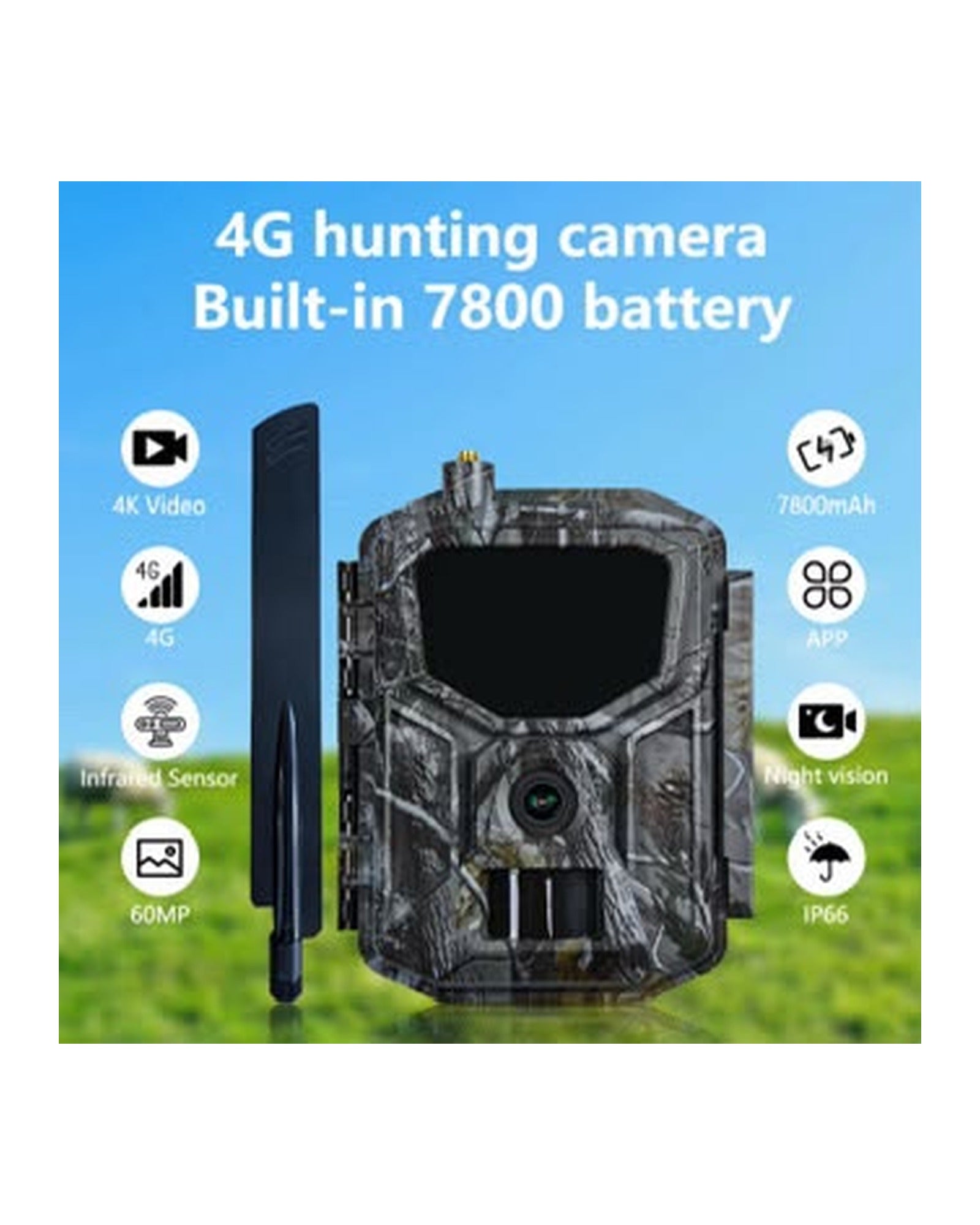 Trail Camera